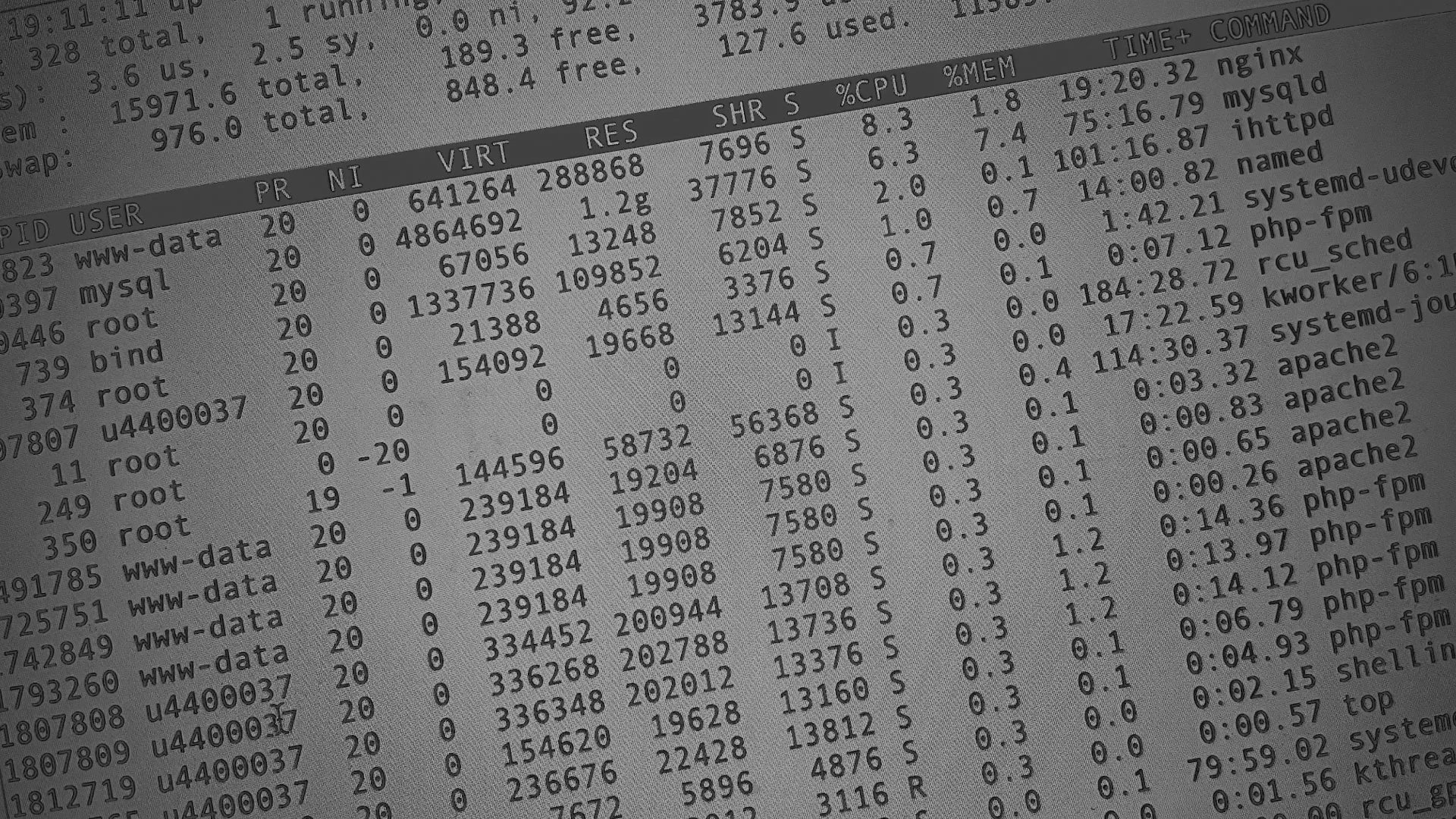 Настройка сервера в Нижней Салде