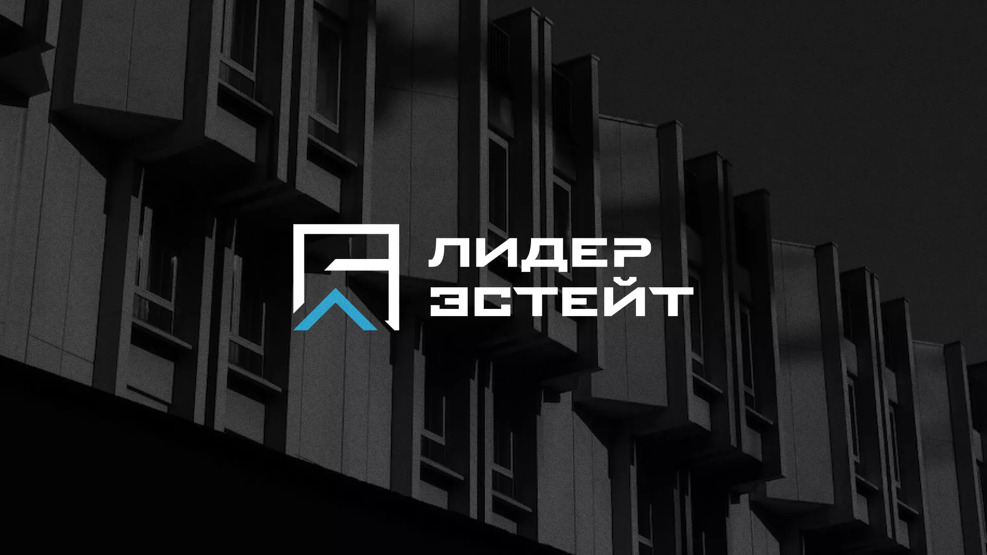 Разработка логотипа агентства недвижимости «Лидер Эстейт» в Нижней Салде